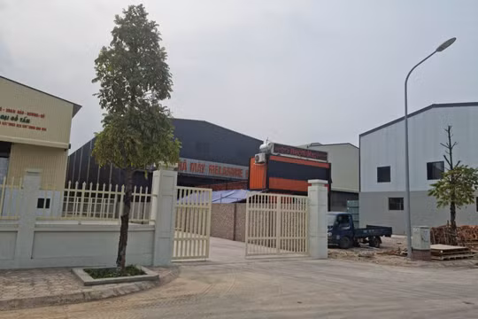 Thu hồi Giấy phép hoạt động điện lực của Công ty cổ phần Đầu tư và dịch vụ điện lực