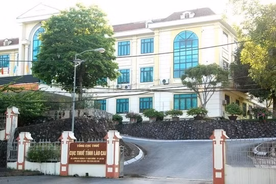 Lào Cai: Công ty khai thác vàng bị cưỡng chế do nợ tiền thuế gần 14 tỷ đồng