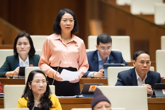 Việc nể nang trong xét xử án hành chính là có, nhưng không nhiều