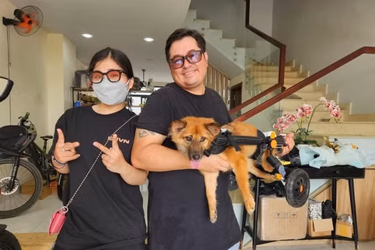 Cặp đôi chồng Tây vợ Việt vẽ tiếp sự sống cho chó mèo khuyết tật