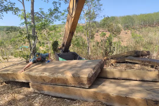 Vụ gỗ lậu được vùi tinh vi dưới cát ở Kon Tum: Phát hiện thêm 2 bãi tập kết
