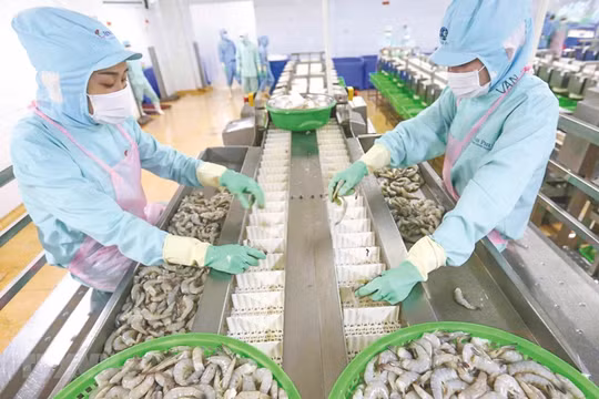 Trung Quốc mở cửa, doanh nghiệp thủy sản Việt Nam được trút bỏ ách tắc tâm lý