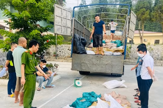 Lào Cai: Thu giữ 3,2 tấn thực phẩm tươi sống bốc mùi hôi thối