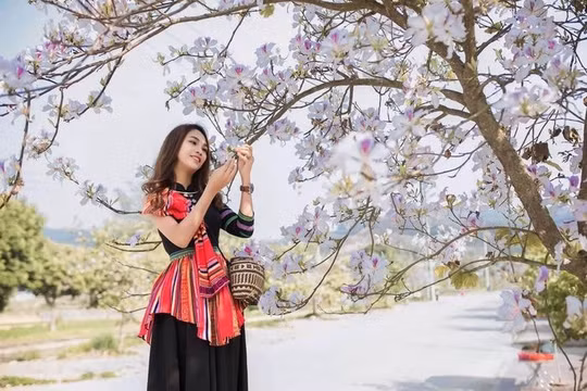 Điện Biên sẵn sàng khai hội Hoa Ban