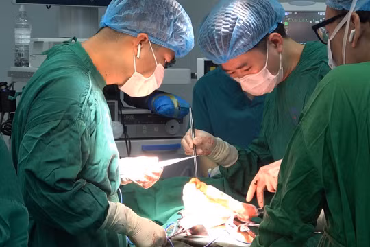 Cứu sống bệnh nhân bị vỡ thai ngoài tử cung