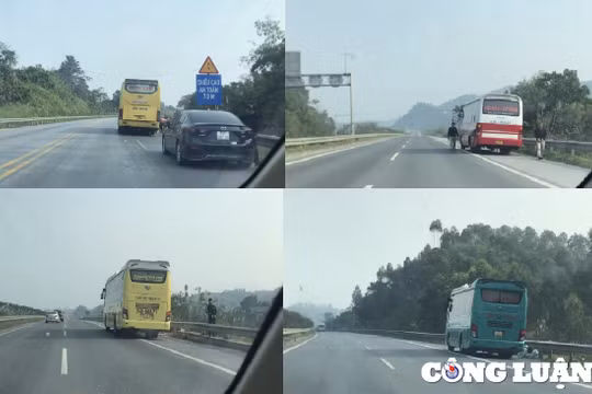 Xe dù, bến cóc: Bao giờ tìm được thuốc đặc trị?