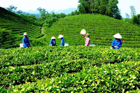 Thái Nguyên phấn đấu đến năm 2030 sẽ đón 5,6 triệu lượt du khách