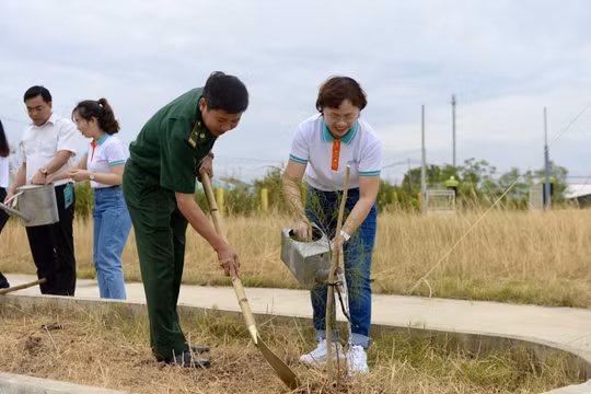 "Lá chắn xanh” của người dân ven biển Tiền Giang