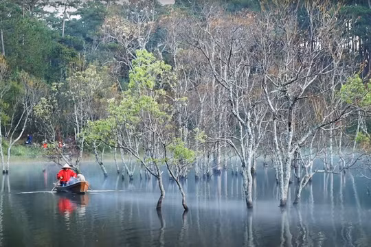 Suối Tía - "cõi thiên thai" giữa lòng Đà Lạt