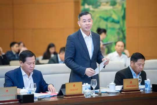 Chỉ quy định xử phạt vi phạm hành chính trong lĩnh vực Kiểm toán Nhà nước đối với hành vi đã rõ