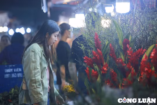 Hà Nội: Nhộn nhịp người dân đến chợ hoa Quảng Bá trước ngày Valentine
