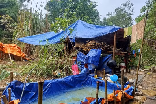 Thành lập Ban Chỉ đạo xử lý hoạt động khai thác vàng trái phép trên địa bàn huyện Bá Thước (Thanh Hoá)