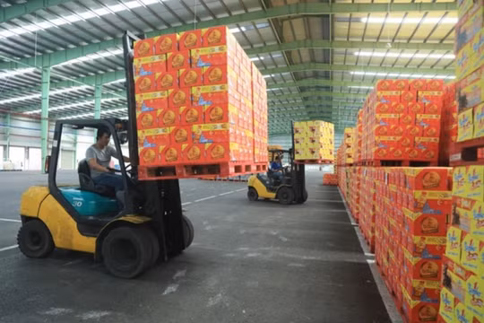 Ông David Riddle làm Tổng Giám đốc Tân Hiệp Phát