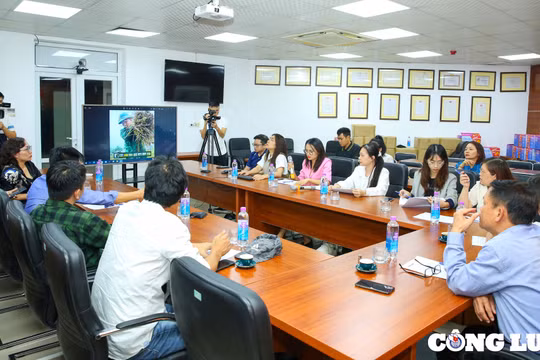 Hội đồng giám khảo Giải ảnh “Khoảnh khắc báo chí 2022” tổ chức chấm và lựa chọn các Giải