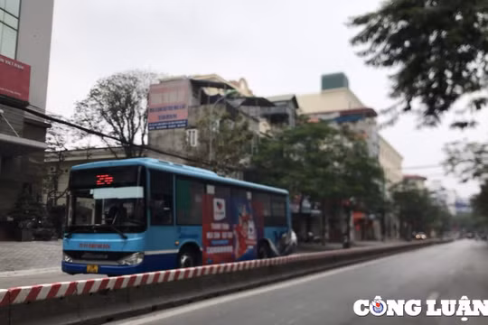 Những chuyến xe buýt chạy trong mùa xuân