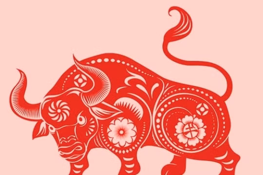 Màu sắc đem lại may mắn cho tuổi Sửu năm 2023