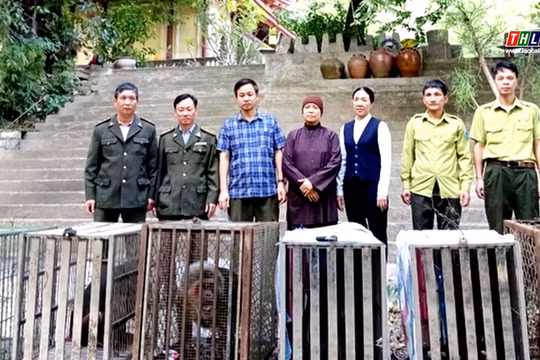 Lào Cai: Vườn quốc gia Hoàng Liên tiếp nhận thêm 13 cá thể động vật hoang dã