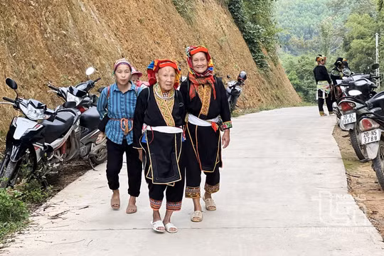 Chương trình 1719 góp phần làm thay đổi diện mạo khu vực miền núi, vùng cao Võ Nhai