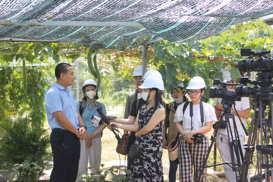 Tổ chức Cuộc thi viết, phóng sự cấp quốc gia về điển hình tiên tiến, gương "người tốt, việc tốt"
