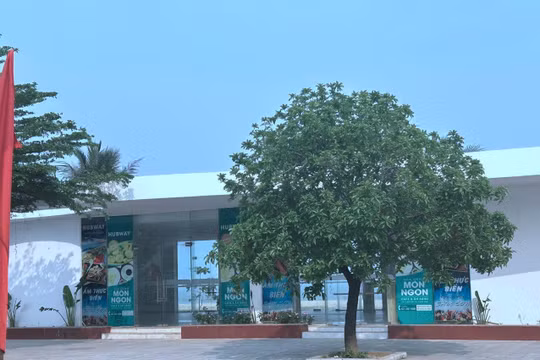 Thanh Hoá: Giao đoàn thanh niên vận hành các Hubway Sầm Sơn