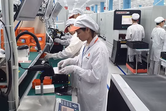 Sẽ có 5 cuộc điều tra cơ sở kinh tế, hành chính, sự nghiệp và tài khoản quốc gia