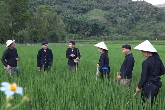 Bắc Kạn bảo tồn và phát huy giá trị di sản hát Lượn cọi