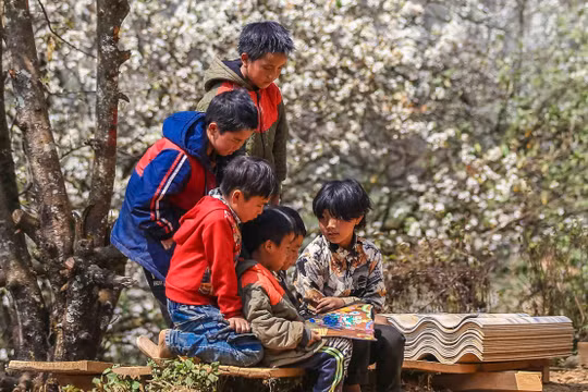 Hàng trăm học sinh miền núi tiếp cận văn hóa đọc sách với chủ đề “Thư viện trên đá”