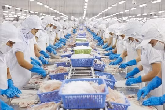 Dragon Capital bán ra gần 98.000 cổ phiếu Vĩnh Hoàn (VHC)