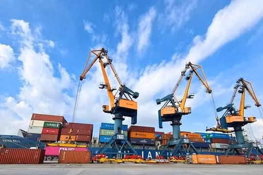 Vận tải và Xếp dỡ Hải An (HAH) chi phí gia tăng, cổ đông lớn thâu tóm thêm 1,2 triệu cổ phiếu