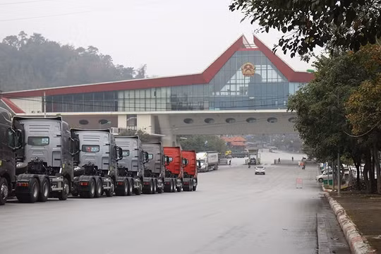 Khôi phục hoạt động xuất nhập khẩu, xuất nhập cảnh ở Cửa khẩu Hữu Nghị