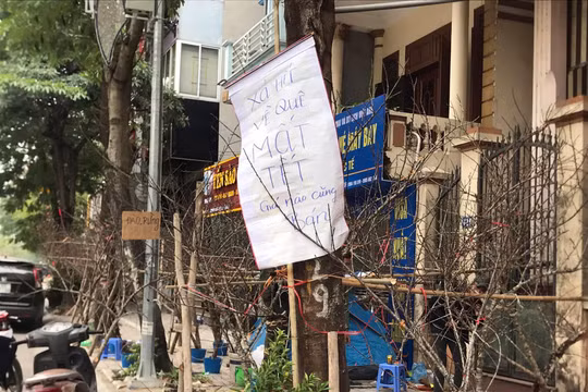 Đào quất “SALE sập sàn” vẫn vắng khách mua