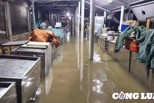 Mưa lớn, kèm dông lốc khiến 3 người mất tích ở Quảng Trị