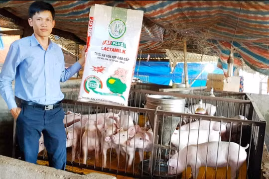 CEO Fastship Phạm Văn Hoàng: “Chúng ta chỉ thật sự thất bại... khi không làm gì nữa”