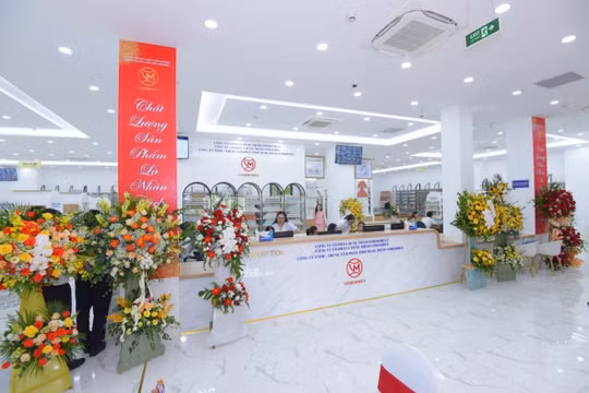 Vimedimex nói gì về vụ sai phạm trong đấu giá đất tại huyện Đông Anh?