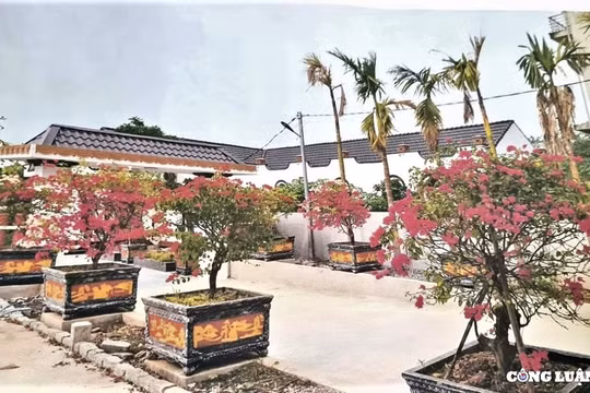 Hà Nội: Xử phạt, yêu cầu tháo dỡ 'biệt phủ' trái phép tại huyện Phú Xuyên