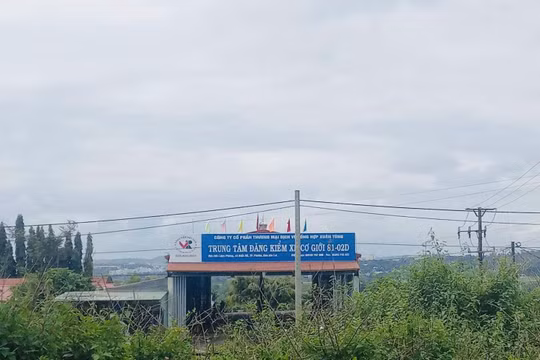 Gia Lai: Nhận hối lộ, 2 nguyên phó giám đốc trung tâm đăng kiểm bị bắt tạm giam