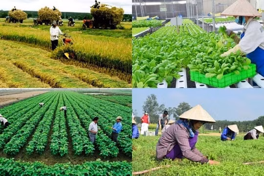 Xây dựng và ban hành các cơ chế đặc thù hỗ trợ lĩnh vực kinh tế tập thể, hợp tác xã
