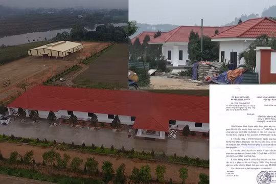 Bình Xuyên (Vĩnh Phúc): Yêu cầu dừng xây dựng Dự án Nông-lâm nghiệp ứng dụng công nghệ cao xây trái phép
