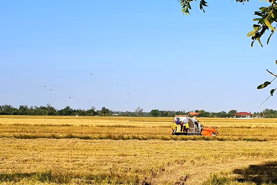 Huyện Vĩnh Lợi, tỉnh Bạc Liêu: Tạo nền tảng vững chắc để phát triển kinh tế - xã hội