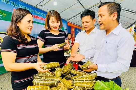 Hiệu quả từ chương trình mục tiêu vùng đồng bào dân tộc thiểu số và miền núi ở Quảng Ngãi
