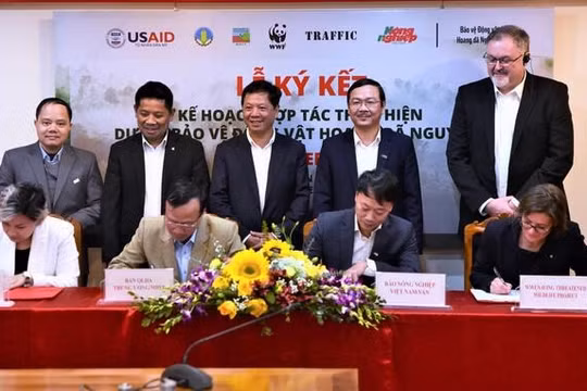 Xây dựng mạng lưới nhà báo, phóng viên bảo vệ động vật hoang dã nguy cấp