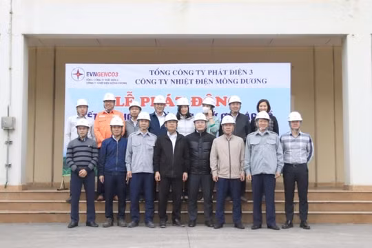 Công ty Nhiệt điện Mông Dương: Trồng trên 800 cây ngay trong lễ phát động trồng cây Xuân Quý Mão