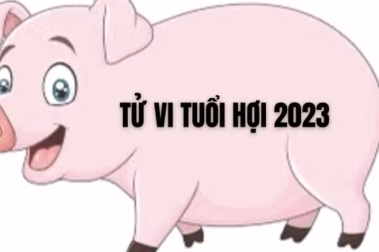 Tử vi tuổi Hợi 2023: Đón nhiều may mắn