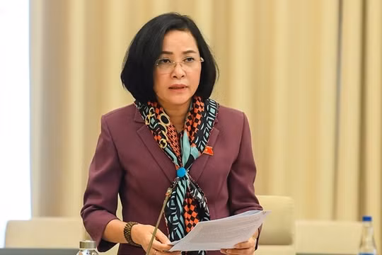 Quy hoạch thúc đẩy Việt Nam phát triển dựa trên chuyển đổi số nhưng hạ tầng số "rất nhạt, rất mờ"