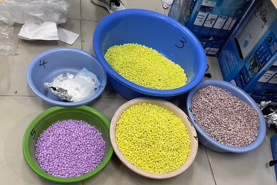 Công an phát hiện gần 1 tạ ma túy được gửi từ Đức về Nội Bài