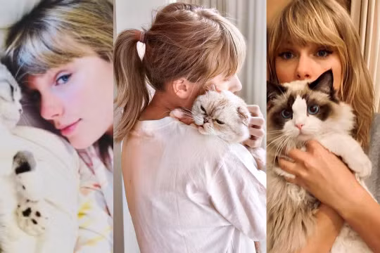 Mèo của Taylor Swift là thú cưng giá trị thứ ba trên thế giới