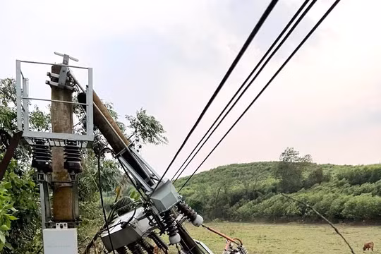 Mưa lớn, lốc xoáy làm sập và tốc mái 81 ngôi nhà, 1 người bị thương