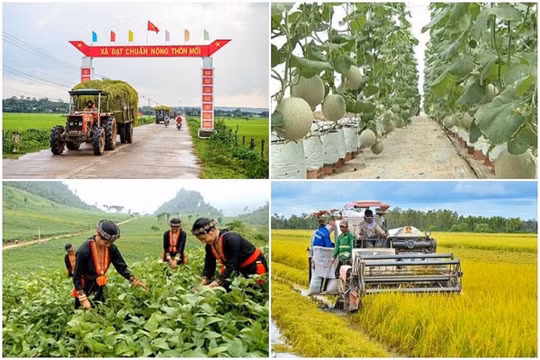 Tập trung tháo gỡ “điểm nghẽn” của các Chương trình mục tiêu quốc gia