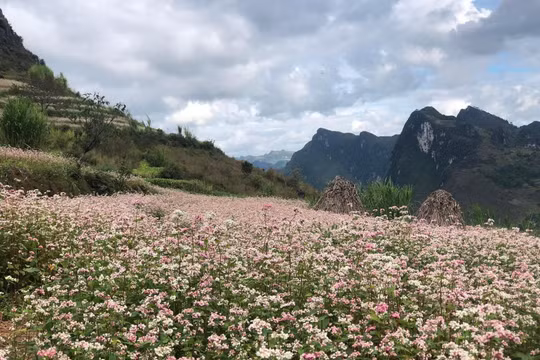 Hà Giang tăng tốc phát triển du lịch bền vững