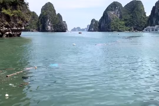 Bao giờ hết rác trên Vịnh Hạ Long?
